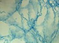 картинка 3943С DELUXE 90см/8м(12шт) от магазина