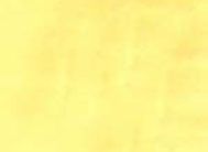 картинка 6007 DELUXE 45см/8м(24шт) от магазина