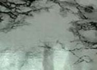 картинка 3958 DELUXE 67,5см/8м(15шт) от магазина