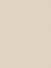 картинка 167013-81 Антураж от магазина