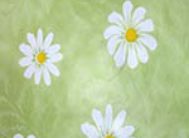 картинка 2171 DELUXE 45см/8м(24шт) от магазина