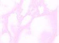 картинка 3814А DELUXE 45см/8м(24шт) от магазина