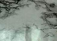 картинка 3958 DELUXE 67,5см/8м от магазина