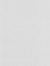 картинка 167014-86 Антураж от магазина