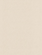 картинка 167014-81 Антураж от магазина