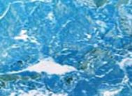 картинка 3896-1 DELUXE 45см/8м(24шт) от магазина