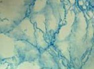 картинка 3943С DELUXE 45см/8м(24шт) от магазина