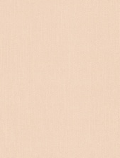 картинка 167013-80 Антураж от магазина