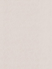 картинка 167014-83 Антураж от магазина