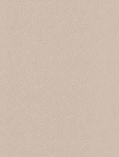 картинка 167014-84 Антураж от магазина