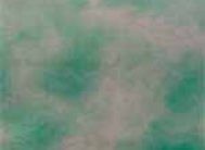 картинка 3844-0 DELUXE 45см/8м(24шт) от магазина