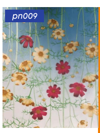 картинка pn009 DECOPON 45см/8м(20шт) от магазина