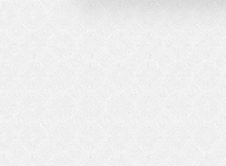 картинка pv019 DECOPON 45см/8м(20шт) витраж от магазина