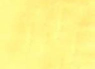 картинка 6007 DELUXE 45см/8м(24шт) от магазина