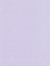 картинка 167014-82 Антураж от магазина