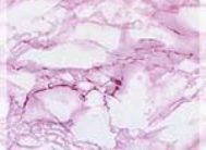 картинка 3943D DELUXE 90см/8м(12шт) от магазина