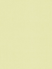 картинка 167013-85 Антураж от магазина