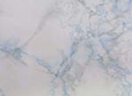 картинка 3812-0 DELUXE 45см/8м(24шт) от магазина