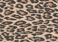 картинка 3970 DELUXE 45см/8м(24шт) от магазина