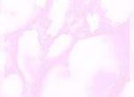 картинка 3814А DELUXE 45см/8м(24шт) от магазина