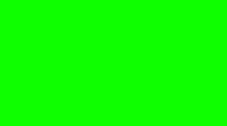 картинка 1728 мат. uni зелен.D-C-FIX 0,45(6шт)   1 от магазина