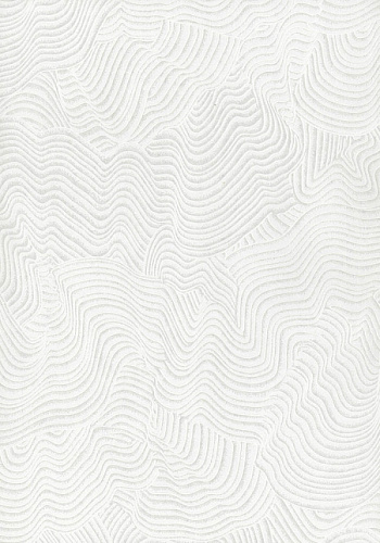 картинка 2627-1ОБОИ "ERISMANN-R/п "1,06*25м/ от магазина