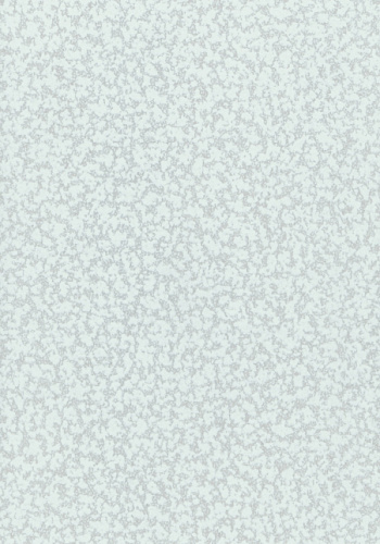 картинка 2532-1 ОБОИ"ERISMANN-R/п1,06*25м/п/2шт от магазина