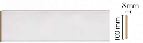 картинка В10-115 Панель <100*8> (10шт) от магазина