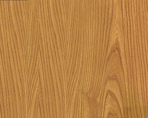 картинка 8013 вяз японский D-C-FIX 0,67   3      от магазина